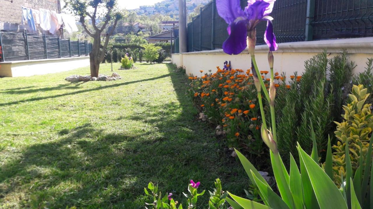 La Casina Gialla Villa Veroli Exterior photo